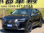 2015 LEXUS NX