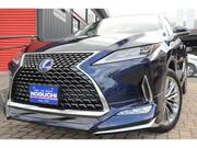 2020 LEXUS RX