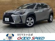 2021 LEXUS UX