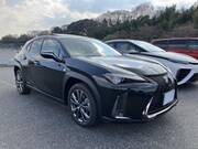 2019 LEXUS UX