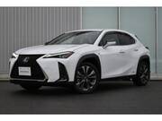 2021 LEXUS UX