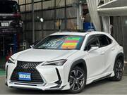 2019 LEXUS UX