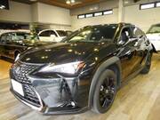2021 LEXUS UX
