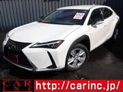 2019 LEXUS UX