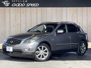 2010 NISSAN SKYLINE CROSSOVER