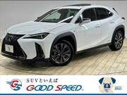 2019 LEXUS UX