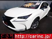 2017 LEXUS NX