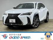 2019 LEXUS UX