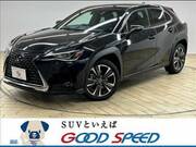 2019 LEXUS UX