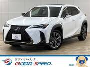 2020 LEXUS UX