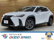 2020 LEXUS UX
