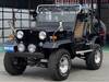 MITSUBISHI JEEP