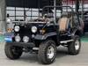 MITSUBISHI JEEP