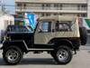 MITSUBISHI JEEP