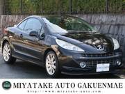 2008 PEUGEOT 207