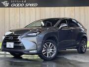 2014 LEXUS NX