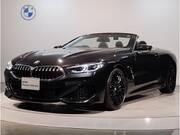 2019 BMW 8 SERIES