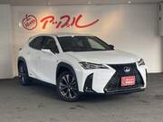 2019 LEXUS UX