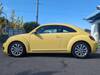 VOLKSWAGEN THE BEETLE