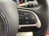 CHRYSLER JEEP RENEGADE