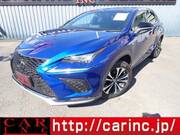 2017 LEXUS NX