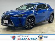 2018 LEXUS UX