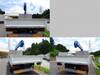 ISUZU OTHER