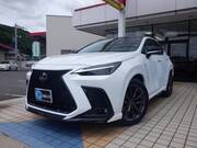 2022 LEXUS NX