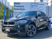 2015 BMW X6 M