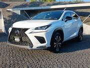 2018 LEXUS NX