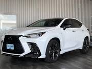 2021 LEXUS NX