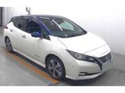 2019 NISSAN LEAF