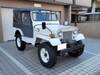MITSUBISHI JEEP