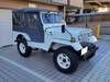 MITSUBISHI JEEP