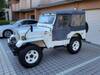 MITSUBISHI JEEP