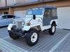 MITSUBISHI JEEP