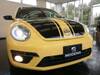 VOLKSWAGEN THE BEETLE