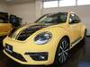 VOLKSWAGEN THE BEETLE