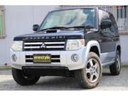 2008 MITSUBISHI PAJERO MINI