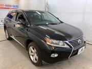 2013 LEXUS RX