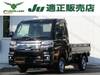TOYOTA PIXIS TRUCK