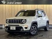 2019 CHRYSLER JEEP RENEGADE