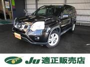 2013 NISSAN X-TRAIL