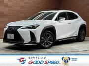 2020 LEXUS UX