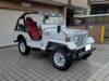 MITSUBISHI JEEP