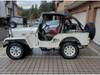 MITSUBISHI JEEP