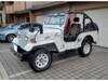 MITSUBISHI JEEP