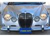 MITSUOKA RYOGA