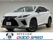 2019 LEXUS RX