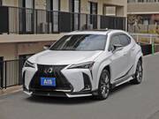 2020 LEXUS UX